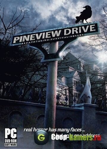 Pineview Drive (2014) PC | 