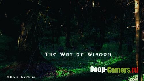  / The Way of Wisdom (2016) PC | 