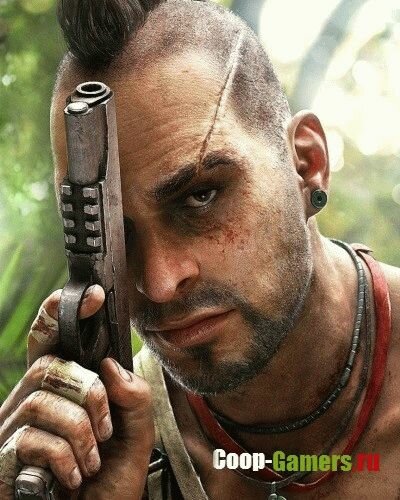 Far Cry 3: /SaveGame (   100%)